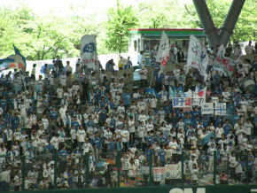 埼玉西武ライオンズファンたちの応援