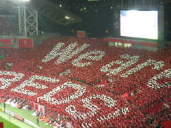 We are REDS!