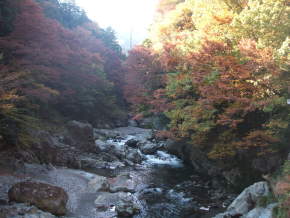 2005.11.22 東京桧原村の山水に泊まりました